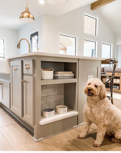 Dog Food Station, Kitchen Remodel Modern, Dog Kitchen, Small Kitchen Remodel, Kitchen Remodel Before And After, Remodel Kitchen, Kitchen Redo, Dream House Interior, Kitchen Remodel Idea