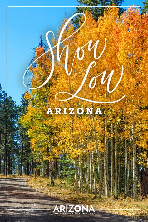 Show Low Az, Fall In Arizona, Show Low Arizona, Excited For Fall, Arizona Adventure, Cabin Trip, Arizona Vacation, Inspiring Places, Visit Arizona