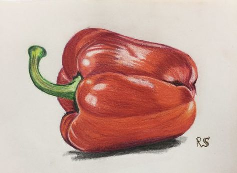 Pepper Drawing, Vegetables Watercolor, Pencil Colouring, Colour Pencil Drawing, Illusion Drawings, Observational Study, Pencil Sketching, Pepper Color, Drawing Guide