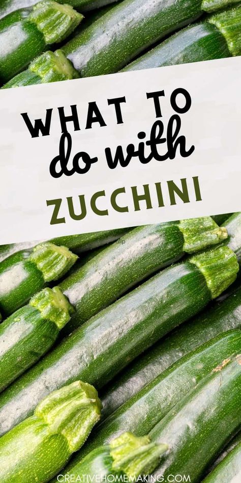 Get inspired with these tasty ways to use zucchini! Whether you're making savory fritters, refreshing salads, or decadent zucchini bread, this versatile vegetable can elevate any dish. Explore our collection of easy and delicious recipes that celebrate the goodness of zucchini! Ways To Use Up Zucchini, Zucchini Boats Recipes, Savory Fritters, What To Do With Zucchini, What To Make With Zucchini, Freezing Zucchini, Diy Homesteading, Feathered Hair Cut, Stuffed Zucchini Boats