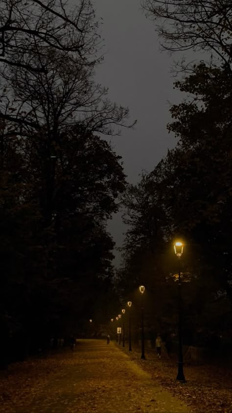 Dark Fall Lockscreen, Dark Fall Pictures, Autumn Night Wallpaper, Dark Autumn Wallpaper, Autumn Night Aesthetic, Fall Night Aesthetic, Fall At Night, Dark Fall Wallpaper, Dark Academia Wallpaper