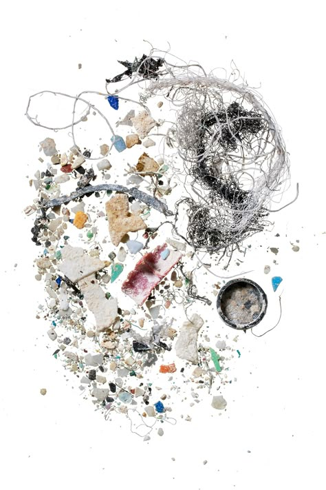 Microplastics have invaded virtually every crevice on Earth | National Geographic Pollution Collage, Ocean Trash, Tiny Fish, Marine Pollution, Ocean Pollution, Awareness Poster, Food Web, Food Props, Plastic Art