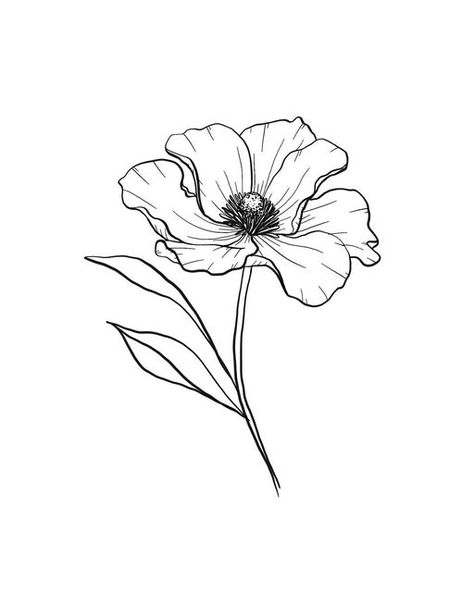 Poppy Flower Outline, Flower Outline, Flower Drawing Tutorials, Custom Tattoo, Poppy Flower, Floral Illustrations, Embroidery Flowers, Custom Art, Ink Drawing