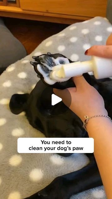 Howlsyourday on Instagram: "🐕LINK IN BIO🐕 Get this Waterless Dog Paw Cleaner to keep your dog's paw clean and healthy! 🥰" Cleaning Dog Paws, Dog Paw Care, Dog Paw Cleaner, Paw Care, Paw Cleaner, Instagram Link In Bio, Pets Accessories, Dogs Stuff, Instagram Link