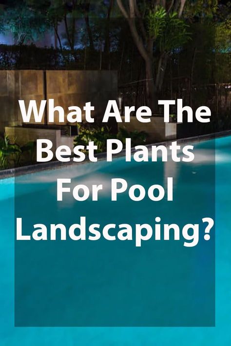 Poolside Landscape Ideas, Pool Ideas Inground, Pool Fencing Landscaping, Pool Area Landscaping, Pool Trampoline, Plants Around Pool, Fence Around Pool, Trampoline Ideas, Pool Ideas Backyard