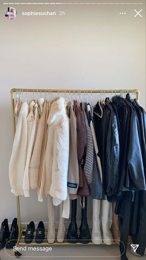 Streetwear Room, Dressing Aesthetic, Stylist Aesthetic, Clothing Rack Bedroom, Earth Ship, Decorate Ideas, Fur Clothes, Manifesting Life, Closet Addition