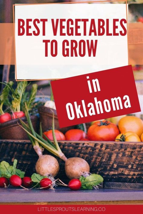 Oklahoma Fall Garden, Oklahoma Homestead, Zone 7 Gardening, Oklahoma Garden, Homesteading Hacks, Oklahoma Gardening, Best Vegetables To Grow, Vegetable Planting Guide, Vegtable Garden