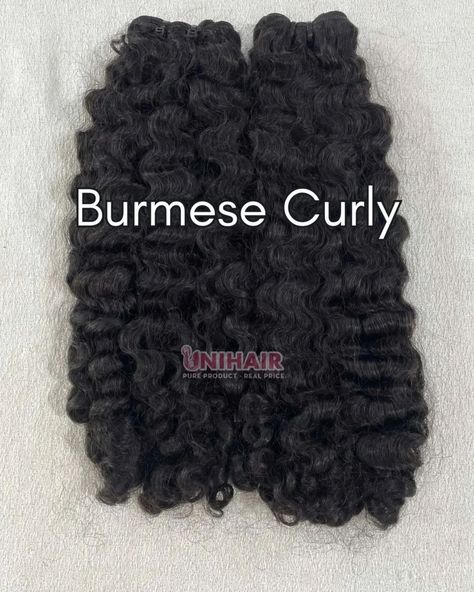 Natural Black Color Burmese Curly Raw Weft Hair 💗 📌Hair Materials: 100% Vietnamese human hair. 📌Hair Style: Burmese Curly 📌Hair Color: Natural black color 📌Hair standard: Double Drawn Dazzle and delight with our stunning Curly Hair bundles! In stock and ready to ship immediately, because fabulous curls wait for no holiday. 👉Unleash Your Inner Diva with Unihair! Contact us immediately to consult _________ ☎️ WhatsApp/Phone/Telegram: +84 905 008 051 (Ms Mary) #unihairvn #hairmanufacturer ... Burmese Curly Hair, Black Color Hair, Curly Hair Color, Curly Hair Bundles, Colored Curly Hair, Hair Weft, Hair Color For Black Hair, Color Hair, Burmese