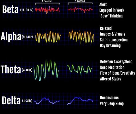 Silva Mind Control, Brain Infographic, Silva Method, Manifestation Prayer, Psychic Healing, Meditation Exercises, Manifestation Meditation, The Scientist, Pineal Gland