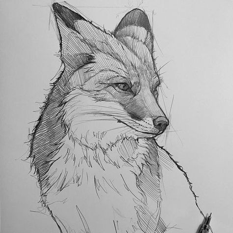 Fox Drawing Sketches, Hatching Drawing, Fox Sketch, Fox Sitting, Fox Drawing, Animal Drawings Sketches, Pencil Sketch Images, Fox Art, Animal Sketches