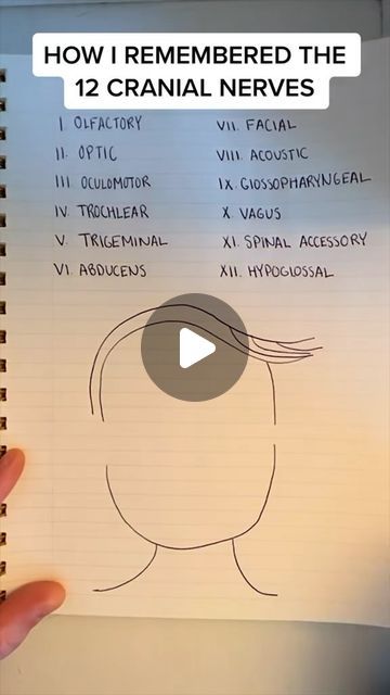 Jessica Reagan on Instagram: "Found this video I used to learn the cranial nerves a few years ago! Hope it helps ❤️ #cranialnerves #nursing #nursingschool #nursingstudent #nursingstudents #lpn #rn" Mnemonic For Cranial Nerves, Cranial Nerves Nursing, Cns Physiology Notes, Cranial Nerves Mnemonic Cheat Sheets, Cranial Nerves How To Remember, Medsurg Nursing Study Guides, Nursing School Hacks, Lpn Study Guides, Lpn Aesthetic