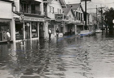 New Orleans History, Louisiana History, Grand Isle, Visit New Orleans, South Louisiana, St Bernard, New Orleans Louisiana, Natural Phenomena, Us History