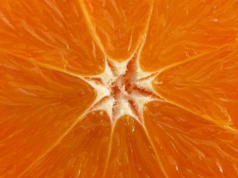 Fruit Up Close, Macro Food, Orange Photography, Channel Orange, Photography Macro, Ideas For Photography, Orange Aesthetic, Copyright Infringement, Phone Themes