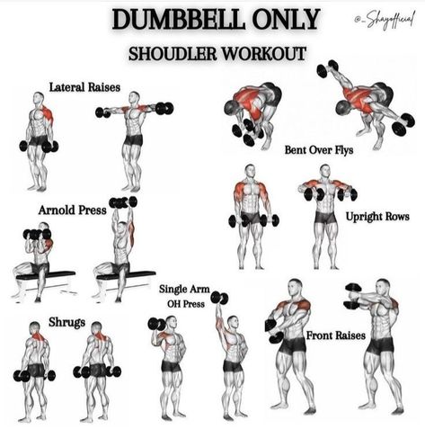 Men’s Chest Workout Routine, Shoulder Dumbbell Workout, Dumbbell Workout Plan, Dumbbell Exercise, Workout Chest, Chest Workout Routine, Full Body Dumbbell Workout, Dumbbell Workouts, Shoulder Workouts