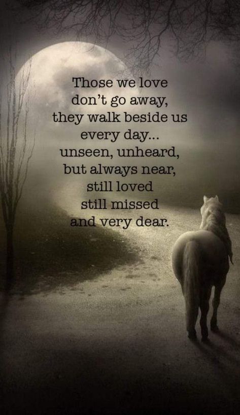 Keeping Faith, The Art Of Letting Go, Inspirational Horse Quotes, Equestrian Quotes, Art Of Letting Go, Sympathy Quotes, Horse Quotes, Memories Quotes, Animal Quotes