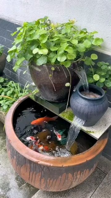 Koi Fish Pond, Deck Ideas, Aquascaping, Fish Pond, Koi Fish, Aquariums, Koi, Fish, Water