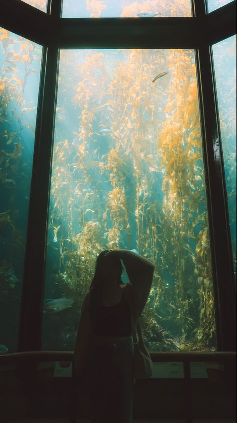 [ location: monterey bay aquarium, california ] — aquarium photoshoot idea : dreamy like photography : aquarium outfit idea / inspiration Monterey Photoshoot, Aquarium Outfit Ideas, Aquarium Photoshoot, Aquarium Outfit, Monterey Bay Aquarium, Travel California, Photoshoot Idea, Monterey Bay, Photos Inspo