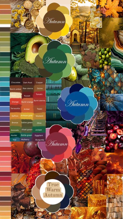 Autumn Color Pallet, Warm Autumn Color Palette, Autumn Color Analysis, Deep Autumn Palette, Autumn Color Palette Fashion, Color Palette Fashion, Deep Autumn Color Palette, Soft Autumn Color Palette, Color Seasons