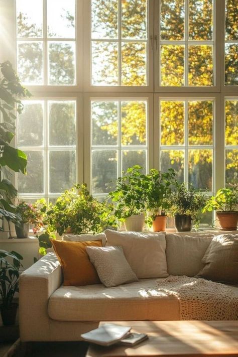 Discover how natural light can enhance your health and wellbeing. Improve your mood, increase productivity, and boost overall health with more sunlight. 🌞🏡 #NaturalLight #HealthyLiving #HomeDesign Overall Health, Increase Productivity, Natural Sunlight, Health And Wellbeing, Natural Light, Improve Yourself, Benefits, House Design, The Incredibles