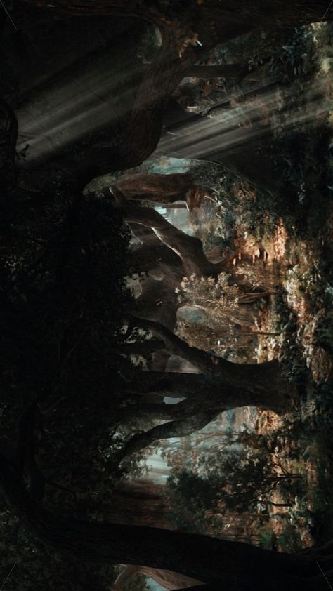 𝑻𝒉𝒆 𝑯𝒐𝒃𝒃𝒊𝒕: 𝑨𝒏 𝑼𝒏𝒆𝒙𝒑𝒆𝒄𝒕𝒆𝒅 𝑱𝒐𝒖𝒓𝒏𝒆𝒚 #wallpaper #hobbit #mirkwood The Hobbit Shifting, Mirkwood Wallpaper, Mirkwood Aesthetic, The Hobbit Wallpaper, Journey Wallpaper, Lotr Oc, Lord Rings, The Hobbit An Unexpected Journey, Hobbit An Unexpected Journey