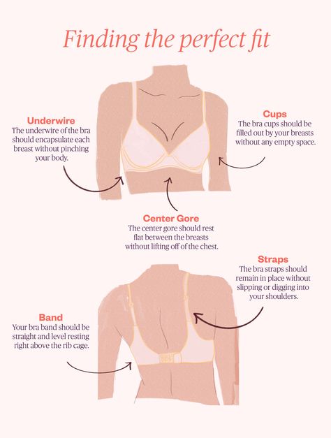 26 best bras for lift and support, according to bra fit experts Female Body Shapes, Perfect Bra Size, Wireless Strapless Bra, Perfect Bra Fit, Measure Bra Size, True Bra, Bra Fitting Guide, Bridal Bra, Bra Hacks