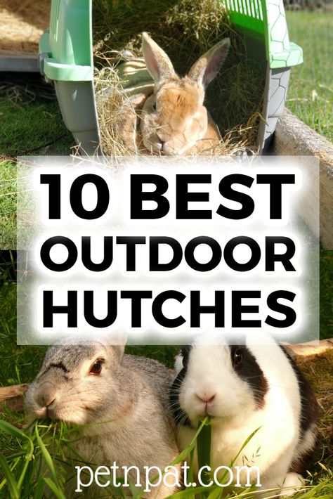 10 Best Outdoor Rabbit Hutches To Keep Your Bunny Safe #bunny #rabbit #rabbithutch #hutch #animals #pets Wild Bunny House Outdoor, Outside Bunny House, Rabbit Hutch Outdoor Diy, Rabbit Habitat Outdoor, Bunny Enclosure Outdoor, How To Care For Bunnies, Bunny House Diy, Rabbit Pen Outdoor, Outdoor Bunny Habitat