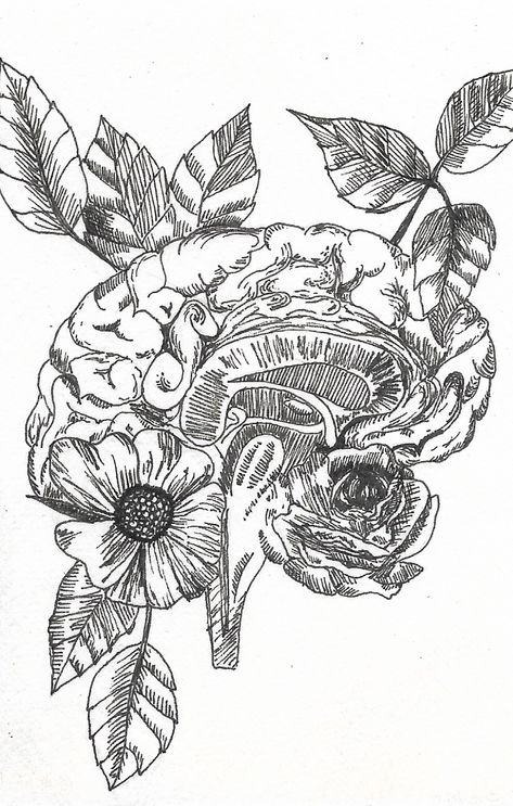 #anatomy #brain #illustration  #bioart #floral #flowers Brain Drawing Flowers, Brain And Flowers Art, Floral Brain Art, Floral Brain Drawing, Brain Flowers Illustration, Brain Anatomy Tattoo, Scatter Brain Tattoo, Brain Drawing With Flowers, Brain Growth Art