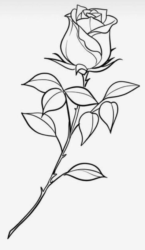 Flower Art Sketches, Own Tattoo Design, Rose Drawings, Rose Outline, Minimalist Tattoo Ideas, Rose Drawing Tattoo, Tattoo Lettering Design, Tattoo Outline Drawing, Flower Art Drawing