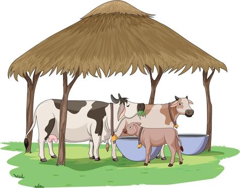 Vector vector illustration showing cows ... | Premium Vector #Freepik #vector #cow #cow-farm #cattle #farmer-cartoon Indian Farm Illustration, Pictures Of Farms, Cow Images Indian, Cow House Farms, Cows Cartoon, Cow Animation, Farmer Cartoon, Cow Cartoon Images, Cow Images