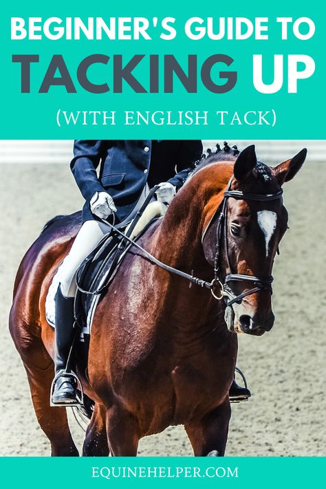 Knowing how to tack up your horse correctly is essential if you want to keep both you and your horse safe when you're horseback riding. In this guide, we teach you step-by-step to tack up your horse the right way. #horsetack #englishtack #horsebackriding How To Tack Up A Horse, How To Tack Up A Horse English, Tacking Up A Horse, Horse Tack English, Tack Cleaning, English Horseback Riding, Horse Education, Horse English, Trail Riding Horses