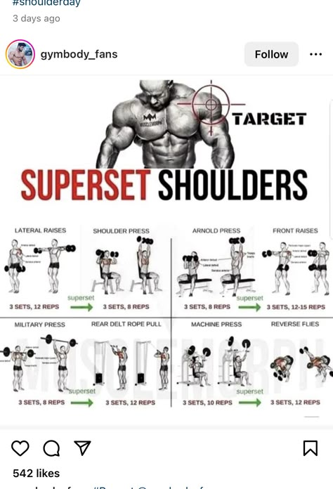 Shoulder Day Workout, Shoulder Workout Routine, Traps Workout, Best Shoulder Workout, Workout Gym Routine, Gym Workout Guide, Shoulder Workouts, Workout Program Gym, Gym Workout Planner