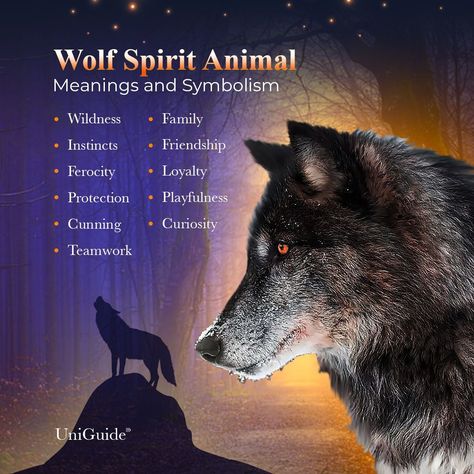 Wolf Meaning, Wolf Symbolism, Animal Totem Spirit Guides, Lone Wolf Quotes, Spirit Animal Meaning, Dark Wolf, Animal Meanings, Spirit Animal Totem, Wolf Totem