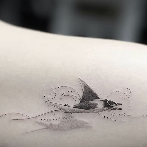 Manta Ray Skeleton Tattoo, Manta Ray Photo, Mantaray Tattoo Design, Ocean Creatures Tattoo, Sting Ray Tattoo, Mantaray Tattoo, Aussie Tattoo, Tattoo Design Arm, Manta Ray Tattoo