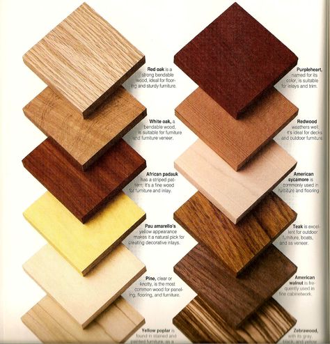 Wood Types & Samples for Client Reference Wood Furniture Colors, Outdoor Wood Projects, Type Of Wood, Coastal Dining, Painting Wood Furniture, Simple House Design, Shabby Chic Dresser, Wood Sample, Top Furniture