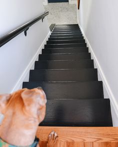 Painted Wood Stairs, Black Painted Stairs, Black And White Stairs, Black Staircase, Painted Staircases, Black Stairs, White Stairs, Yellow Brick Home, Stair Makeover