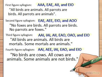 Reasoning Test, Ad Hominem, Logic, Quick Saves