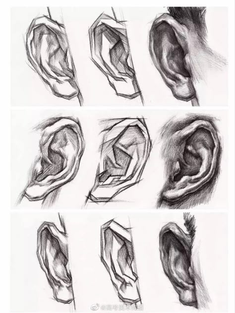 Ear Anatomy Drawing, Ear Drawing Tutorial, Ears Drawing Reference, Ear Drawing Reference, Ear References, Head Topology, Ears Drawing, Ear Drawing, Charcoal Study