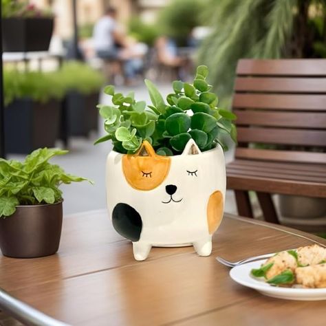 Amazon.com : Cat Planter Pot | Indoor Planter for Plants | Cat Lover Gift | Animal Planter | Succulent Planter | Gardening Lover Gift | Cute Planters & Pots | Pot Holder | Gardening Gifts for Women & Plant Lovers : Patio, Lawn & Garden Planter Gardening, Cute Planters, Cat Planter, Contemporary Planters, Gardening Gifts, Ceramic Succulent, Cactus Planter, Animal Planters, Decorated Flower Pots