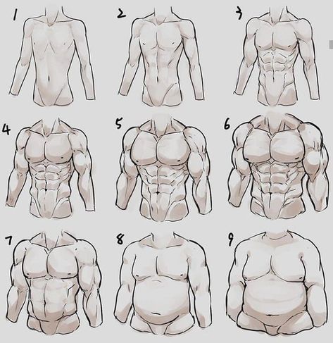 (2) Belladonna (@Bellado55039057) / Twitter Male Body Drawing, Body Type Drawing, Human Body Drawing, Human Anatomy Drawing, Human Anatomy Art, 캐릭터 드로잉, Guy Drawing, Body Drawing, Figure Drawing Reference