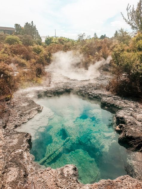 Travel itinerary for Rotorua New Zealand North Island. Discover the best photography spots as well as activities and things to do in Rotorua such as visiting the geothermal Hot Springs, geysers, mud pools, blue and green lakes and Lake Terawera or visit a Polynesian spa. Or places to visit for free such as the Redwoods or kerosene creek. Learn about the Maori culture at Whakarewarewa, taste traditional Maori food (hangi) and see the haka dance. Also included are accommodation recommendations. New Zealand Hot Springs, New Zealand Rotorua, Maori Food, Haka Dance, Hiking New Zealand, New Zealand Country, New Zealand Photography, New Zealand North Island, New Zealand Cities