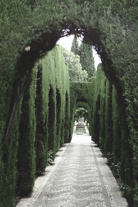 Hedge Driveway, Era Victoria, Brick Path, Garden Designs, Green Trees, Nature Aesthetic, Pretty Places, Dream Garden, Dream Home Design