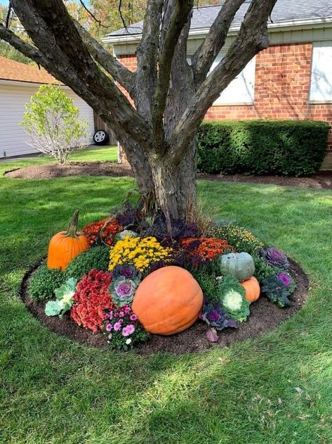 16 Fall Decor Ideas for the Garden » Lady Decluttered Pumpkins Front Yard, Front Patio Fall Decor Ideas, Fall Displays Outdoor Front Yard, Fall Landscape Ideas Front Yards, Front Yard Autumn Decor, Front Yard Landscaping Fall, Decorating With Pumpkins Outdoor, Fall Garden Decor Ideas, Fall Front Yard Decor