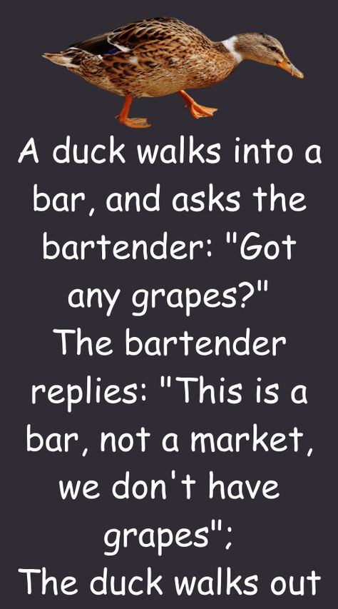 A duck walks into a bar, and asks the bartender - Abhinay Narayan Singh Very Funny Jokes In English Short, Jokes English Funny, Super Funny Jokes To Tell, Clean Funny Jokes Hilarious, Inappropriate Jokes Hilarious, Latest Funny Jokes In English, Funny Adult Jokes Hilarious Humor, Hilarious Dirty Jokes, Joke Of The Day Funny Hilarious