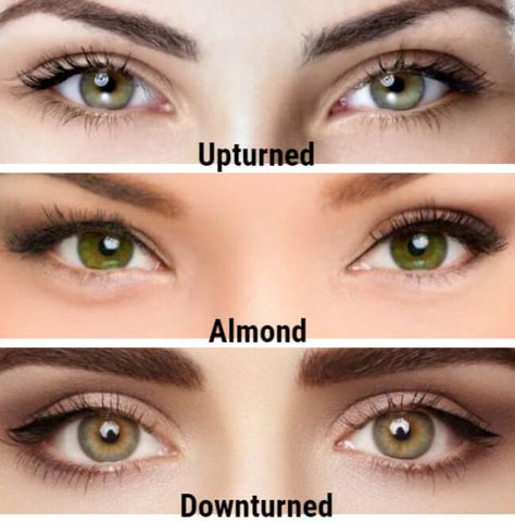 Upturned Eyes, Eye Lash Style, True Winter Makeup, Downturned Eyes, Eye Shape Makeup, Almond Eye Makeup, Almond Shaped Eyes, Almond Eyes, Cat Eye Lash