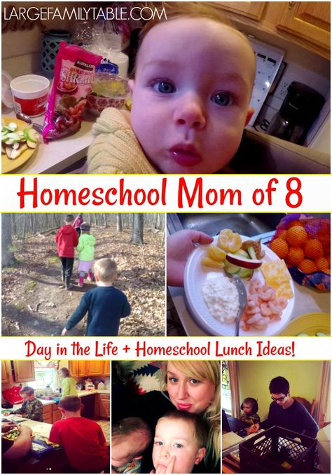 Homeschool Lunch Ideas | Homeschool Mom Day in the Life (8 Kids) - Large Family Table Homeschool Lunch Ideas, Homeschool Lunch, Large Family Table, Math U See, Rod And Staff, Free Homeschool Curriculum, Homeschool Lessons, Motherhood Encouragement, Math Blocks