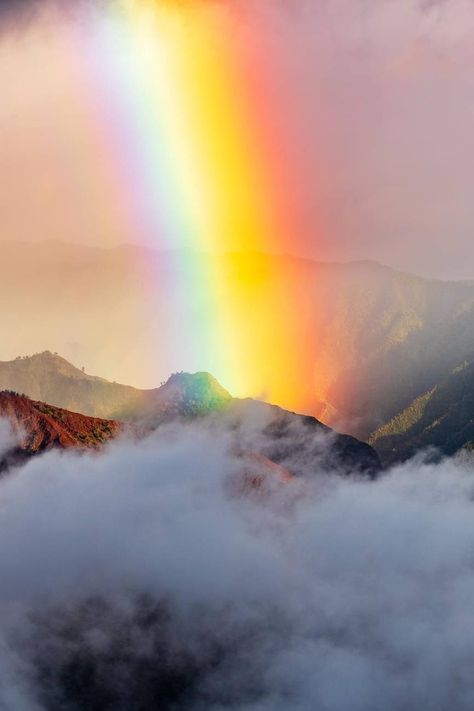 Rainbow / Arc-en-ciel / Image by lightsourcekauai (Lee Scott) from instagram Goal Inspiration, Line Web, High Aesthetic, Goals Inspiration, Red Orange Yellow, Over The Rainbow, Safe Place, Mother Earth, Qatar