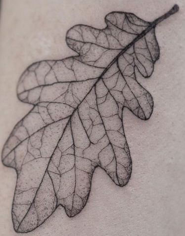 Oak Tree Leaf Tattoo, Oak Leaf Tattoo, Oak Leaf Tattoos, Acorn Tattoo, Oak Tree Tattoo, Fern Tattoo, Autumn Tattoo, Leaf Tattoo, Hummingbird Tattoo