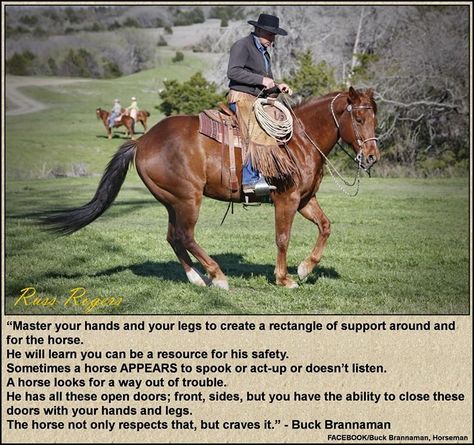 Buck Brannaman. Horsemanship Quotes, Buck Brannaman, Equine Quotes, Inspirational Horse Quotes, Horse Riding Quotes, Horse Exercises, Riding Quotes, Natural Horsemanship, Horse Training Tips