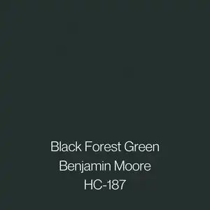 Green Black Paint Color, Benjamin Moore Dark Green, Popular Dark Green Paint Colors, Green Black Paint, Dark Green Paint Colors, Dark Green Shades, Dark Green Paint, Painting Bathroom Cabinets, Black Paint Color