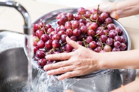 How to Wash Grapes the Right Way | Tips to Clean and Store Grapes Washing Grapes With Vinegar, How To Wash Grapes With Vinegar, How To Clean Grapes With Vinegar, How To Wash Grapes Baking Soda, How To Clean Fruits And Vegetables Baking Soda, Cleaning Grapes Baking Soda, How To Clean Grapes, Cleaning Grapes, How To Wash Grapes